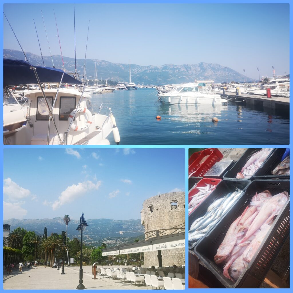 Budva harbour and local fish market