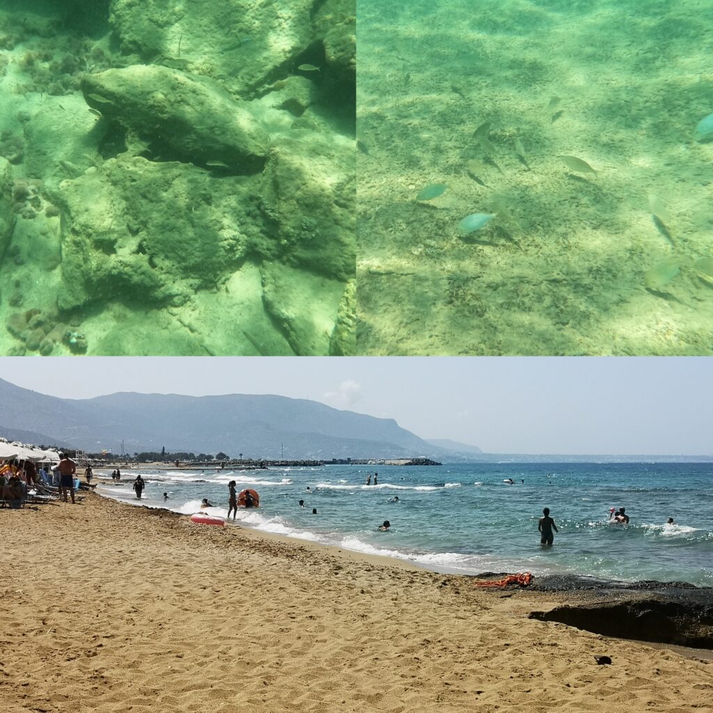 Potamos Beach Collage with Fish