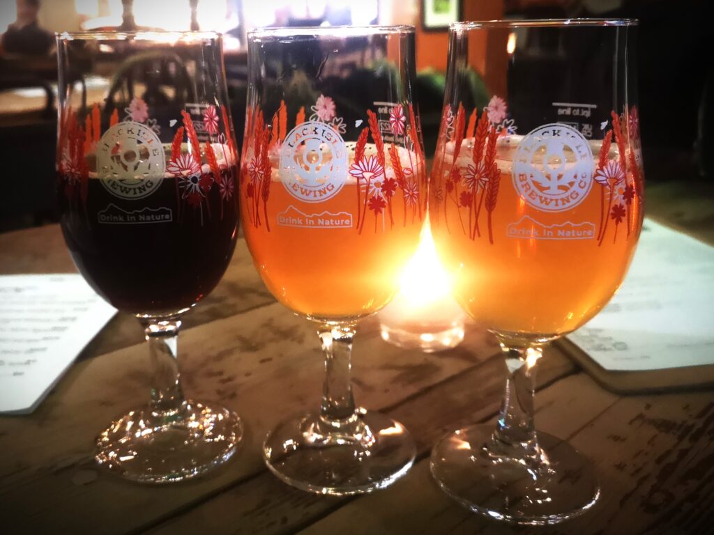 Rhode Runner Pale Ale, Scotch Ale and Spider Monkey IPA from local independent brewery Black Isle