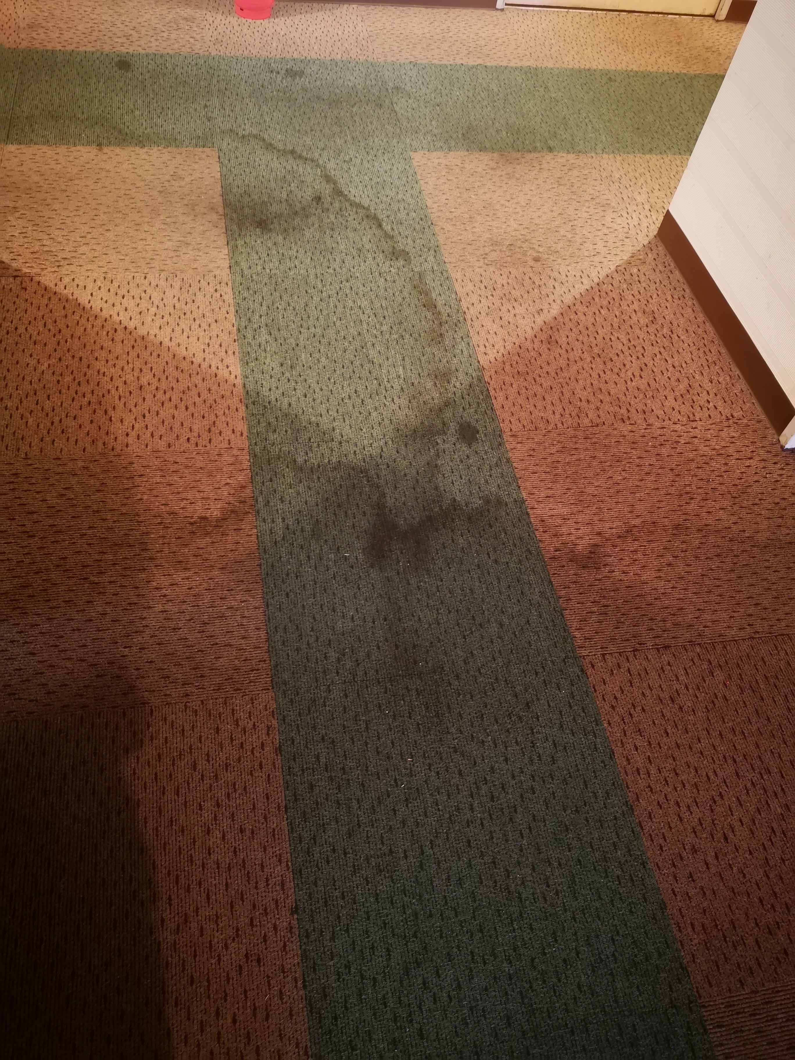 A brown and green carpet with many large, dirty stains in this authentic hotel.