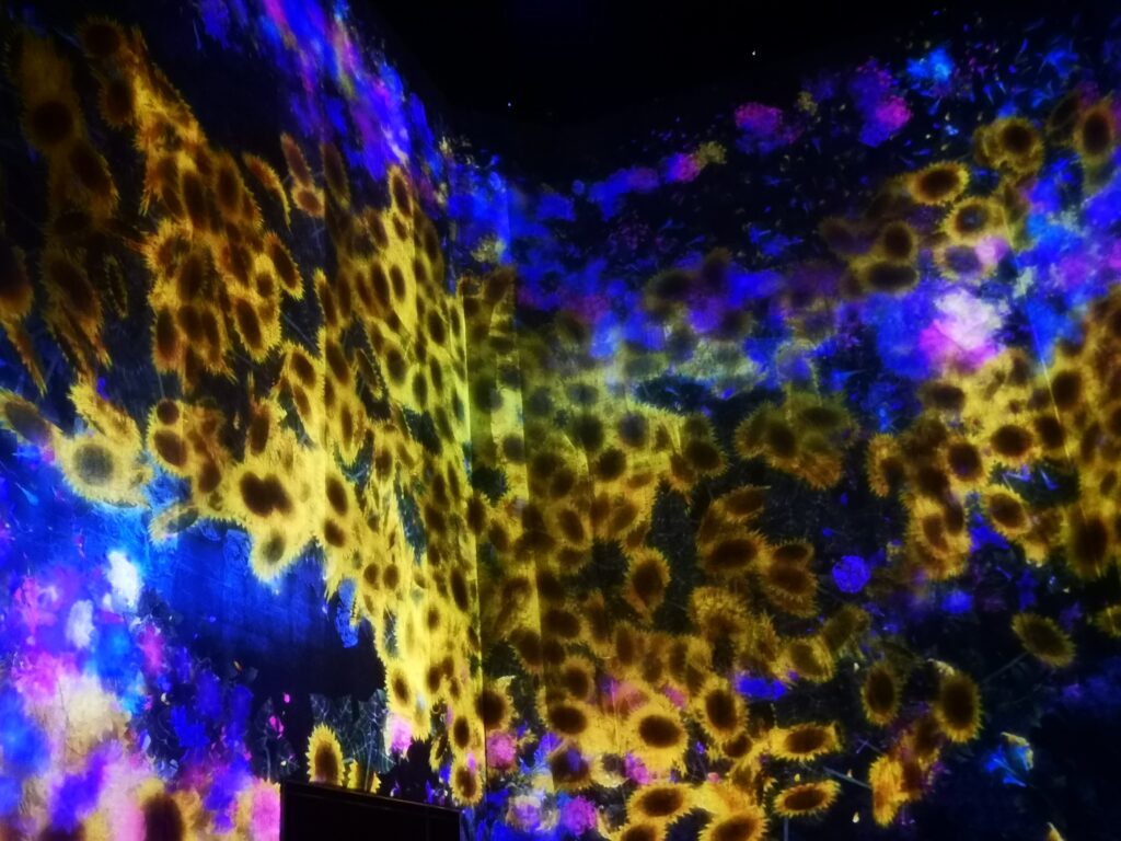 An example of the flowery artwork spanning every wall, floor and ceiling one of the Top Tokyo Attractions.