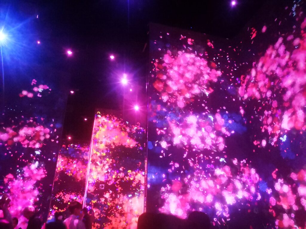 An example of the flowery artwork spanning every wall, floor and ceiling in one of the Top Tokyo Attractions